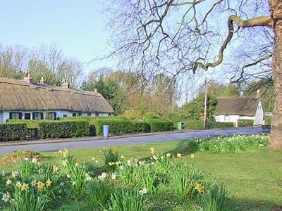 Childe Of Hale Cottage Buitenkant foto